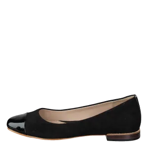 Festival Gold Black Combi